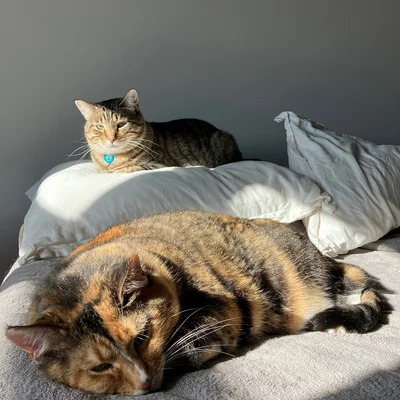 Xena & Sophie